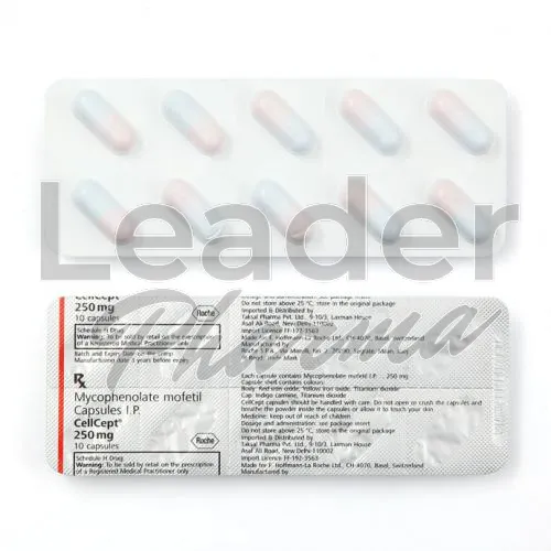 mycophenolate mofetil-without-prescription